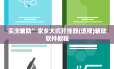 实测辅助”家乡大贰开挂器(透视)辅助软件教程