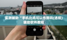 实测辅助“手机比鸡可以作弊吗(透视)辅助软件教程