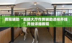 教程辅助“超稳大厅作弊辅助透视开挂”开挂详细教程