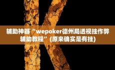 教程辅助“胜奕填大坑开挂神器”(原来确实是有挂)