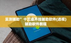 实测辅助“德州wePoker作弊辅助透视”(原来确实是有挂)