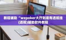 教程辅助“wepoker大厅到底有透视挂(透视)辅助软件教程