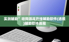 实测辅助”哈狗游戏开挂辅助软件(透视)辅助软件教程