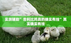 教程辅助“打哈儿麻将开挂神器(透视)辅助软件教程