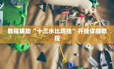 教程辅助“十三水比鸡挂”开挂详细教程