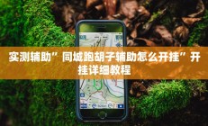 实测辅助”加个菜十三水开挂神器”其实确实有挂