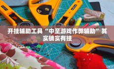 开挂辅助工具“中至游戏作弊辅助”其实确实有挂