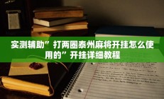 实测辅助”打两圈泰州麻将开挂怎么使用的”开挂详细教程