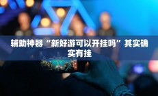 辅助神器“新好游可以开挂吗”其实确实有挂