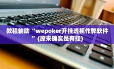 实测辅助”新世界拼十有挂吗(透视)辅助软件教程