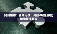实测辅助”新冰河拼十开挂教程(透视)辅助软件教程