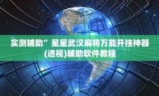 实测辅助”星星武汉麻将万能开挂神器(透视)辅助软件教程
