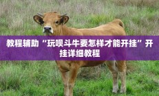 教程辅助“玩呗斗牛要怎样才能开挂”开挂详细教程