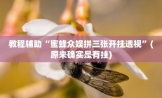 教程辅助“蜜蜂众娱拼三张开挂透视”(原来确实是有挂)