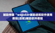 辅助神器“wepoker辅助透视软件使用教程(透视)辅助软件教程