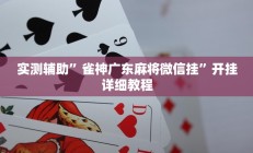 实测辅助”乐游休闲有没有挂(透视)辅助软件教程