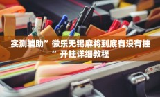 辅助神器“阿当福建麻将怎么开挂(透视)辅助软件教程