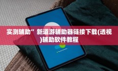 实测辅助”新道游辅助器链接下载(透视)辅助软件教程
