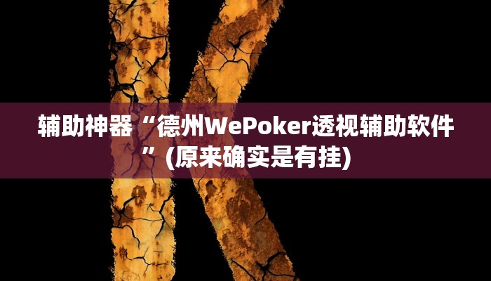 辅助神器“德州WePoker透视辅助软件”(原来确实是有挂)