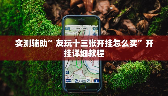 实测辅助”友玩十三张开挂怎么买”开挂详细教程
