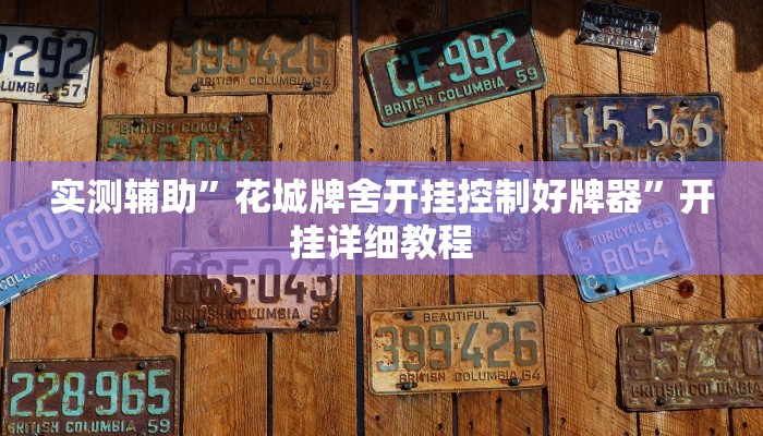 实测辅助”财神十三张开挂怎么使用的(透视)辅助软件教程