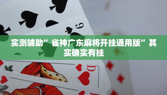 实测辅助”德扑之星辅助开挂教程”开挂详细教程