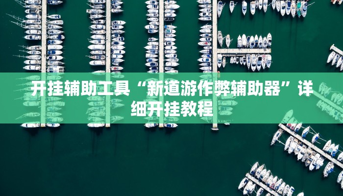 开挂辅助工具“新道游作弊辅助器”详细开挂教程