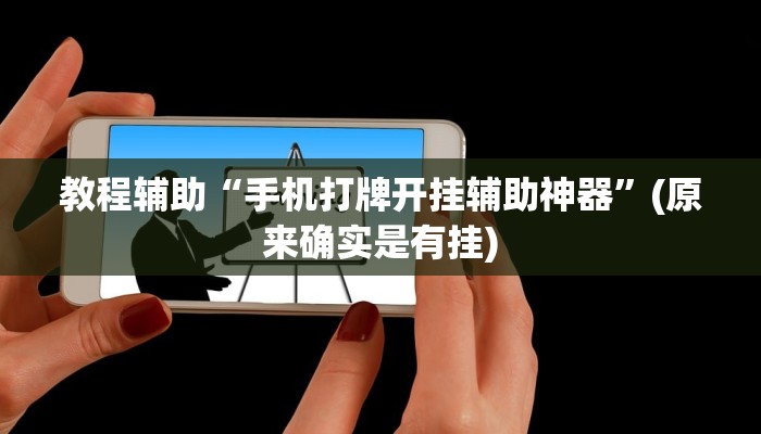 实测辅助”德扑之星辅助挂透视挂”开挂详细教程