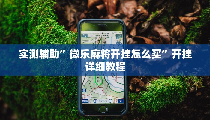 实测辅助”微乐麻将开挂怎么买”开挂详细教程