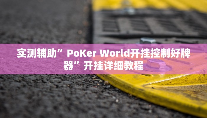 实测辅助”PoKer World开挂控制好牌器”开挂详细教程