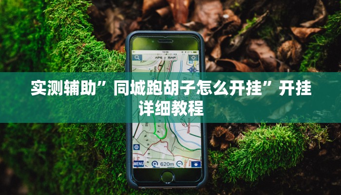 实测辅助”同城跑胡子怎么开挂”开挂详细教程