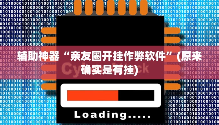 辅助神器“亲友圈开挂作弊软件”(原来确实是有挂)