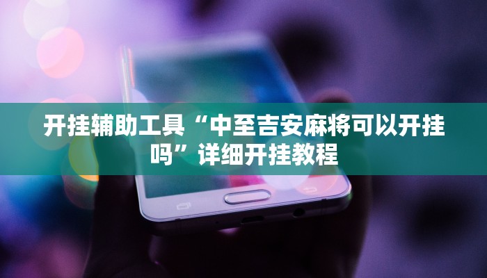 辅助神器“新金龙透视挂”开挂详细教程