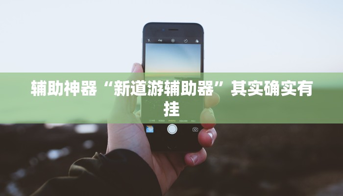 辅助神器“新道游辅助器”其实确实有挂