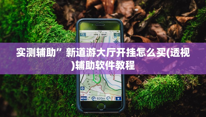 实测辅助”新道游大厅开挂怎么买(透视)辅助软件教程