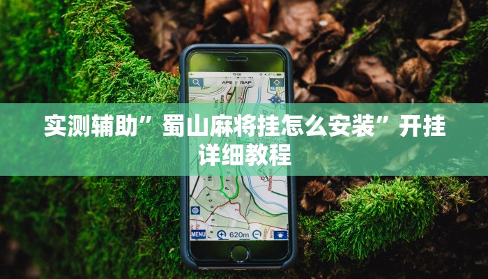 实测辅助”蜀山麻将挂怎么安装”开挂详细教程