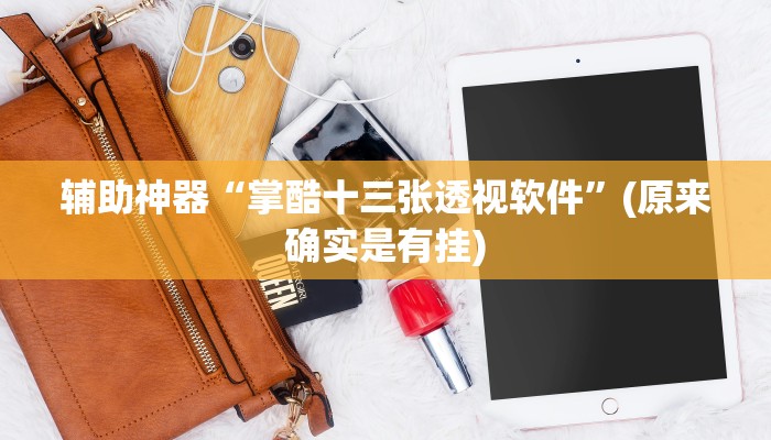 辅助神器“掌酷十三张透视软件”(原来确实是有挂)