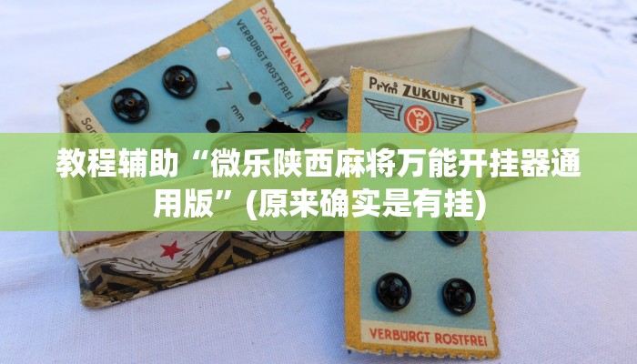 教程辅助“微乐陕西麻将万能开挂器通用版”(原来确实是有挂)