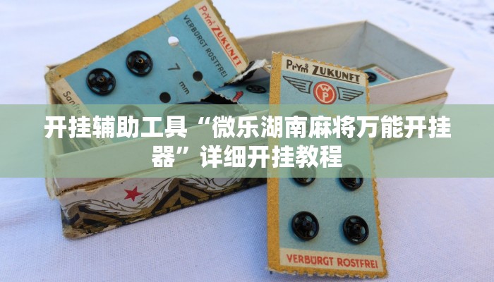 实测辅助”新金龙透视挂”详细开挂教程