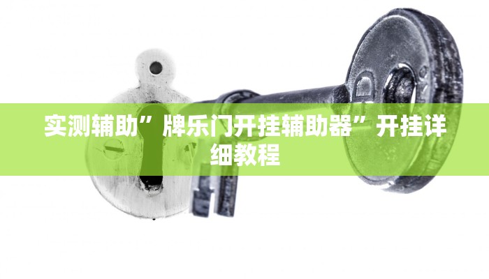 实测辅助”牌乐门开挂辅助器”开挂详细教程