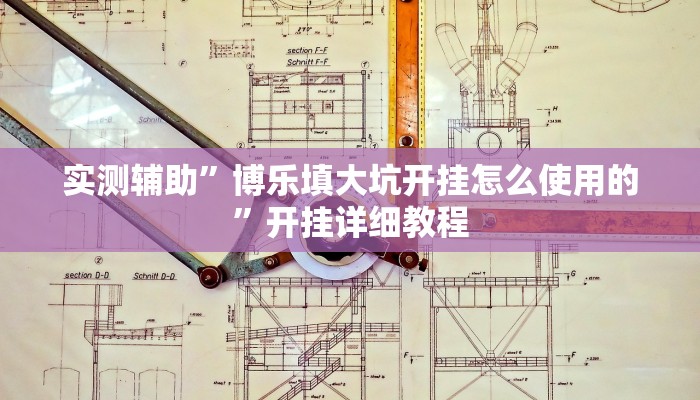 实测辅助”博乐填大坑开挂怎么使用的”开挂详细教程