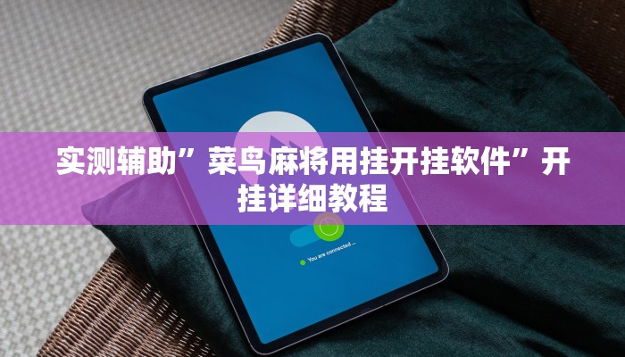 教程辅助“新金龙大厅透视挂(透视)辅助软件教程