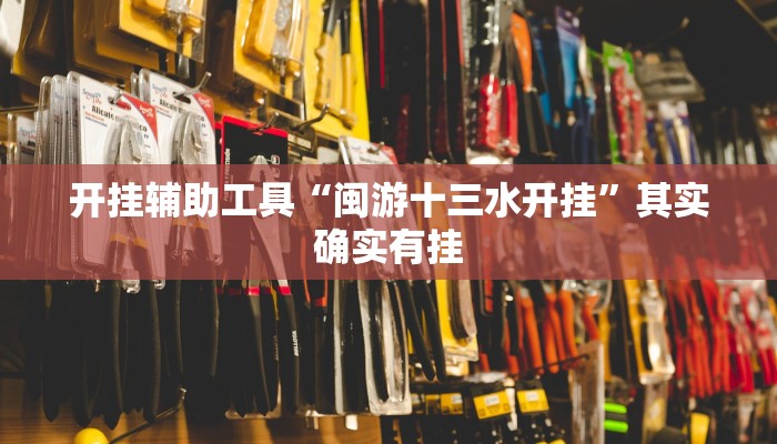 实测辅助“德州WepoKer开挂透视教程”开挂详细教程