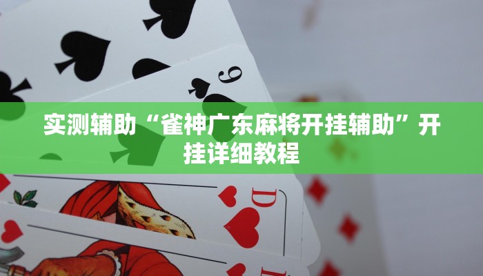 实测辅助“雀神广东麻将开挂辅助”开挂详细教程