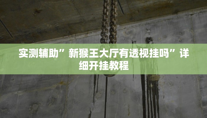 实测辅助”新猴王大厅有透视挂吗”详细开挂教程