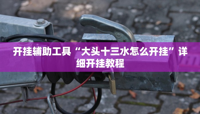 开挂辅助工具“大头十三水怎么开挂”详细开挂教程
