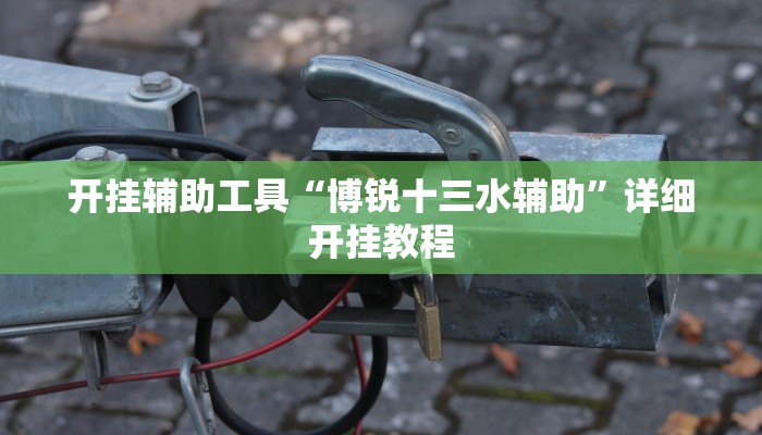 开挂辅助工具“博锐十三水辅助”详细开挂教程