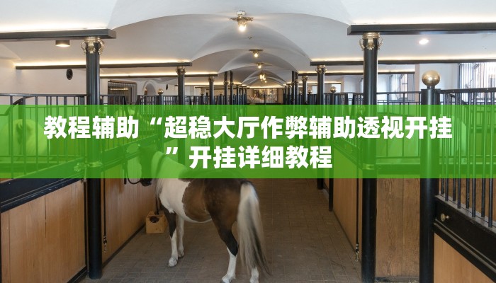 教程辅助“超稳大厅作弊辅助透视开挂”开挂详细教程