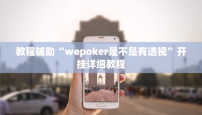教程辅助“wepoker是不是有透视”开挂详细教程