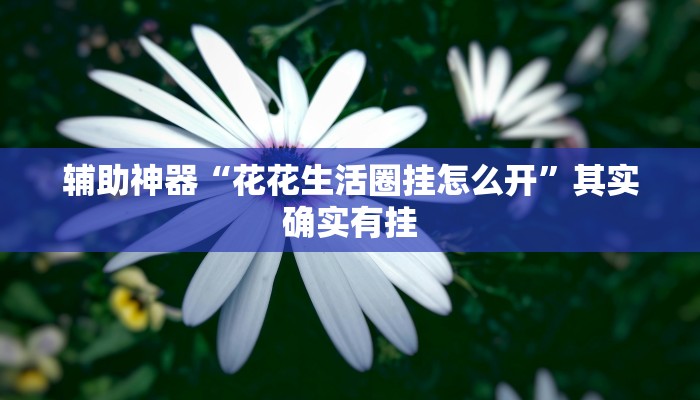 辅助神器“花花生活圈挂怎么开”其实确实有挂